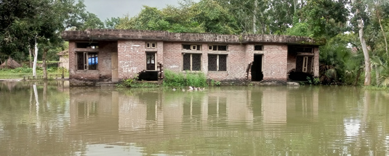 image-here